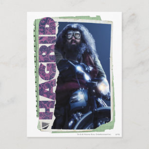 Hagrid Postcard