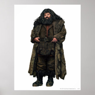 Hagrid Poster