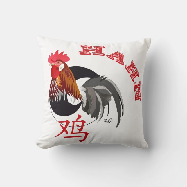 Hahn Chinese sign pillow (Front)