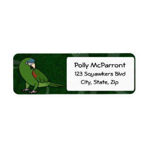 Hahn's Macaw