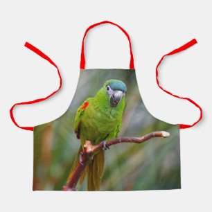 Hahn's Mini Macaw / Red-Shouldered Macaw Apron