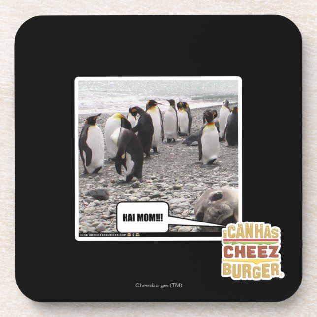 HAI MOM!!! COASTER (Front)