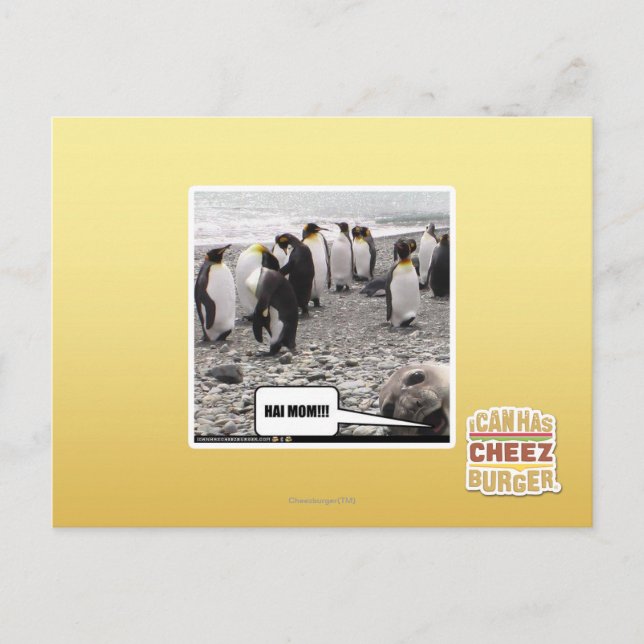 HAI MOM!!! POSTCARD (Front)