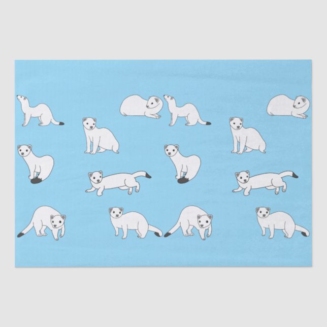 Haida Ermines Tissue Paper (Front)