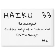HAIKU 33