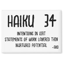HAIKU 34