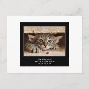 haiku cat 12 postcard