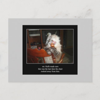 haiku cat 15 postcard