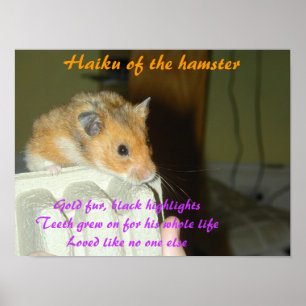 Haiku of the Hamster 1 Poster