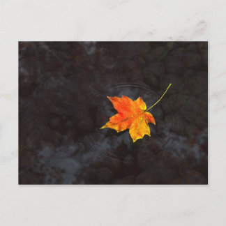 Haiku Postcard