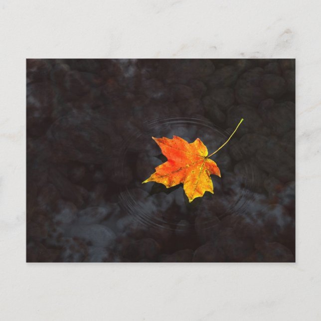 Haiku Postcard (Front)