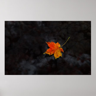 Haiku Poster