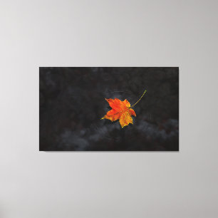 "Haiku" Wrapped Canvas