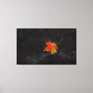 "Haiku" Wrapped Canvas