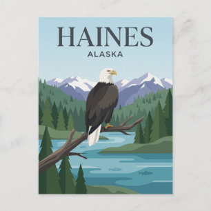 Haines, Alaska USA Postcard