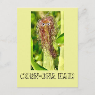 Hair Humour Post Card