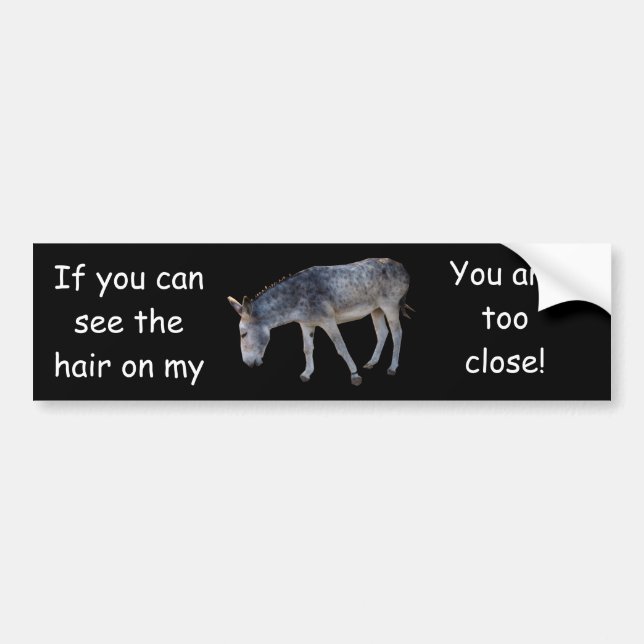 Hair on my... Bumper Sticker (Front)