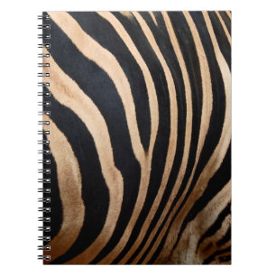 hair skin of zebraskin,animal,background,black,bod notebook