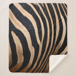 hair skin of zebraskin,animal,background,black,bod sherpa blanket