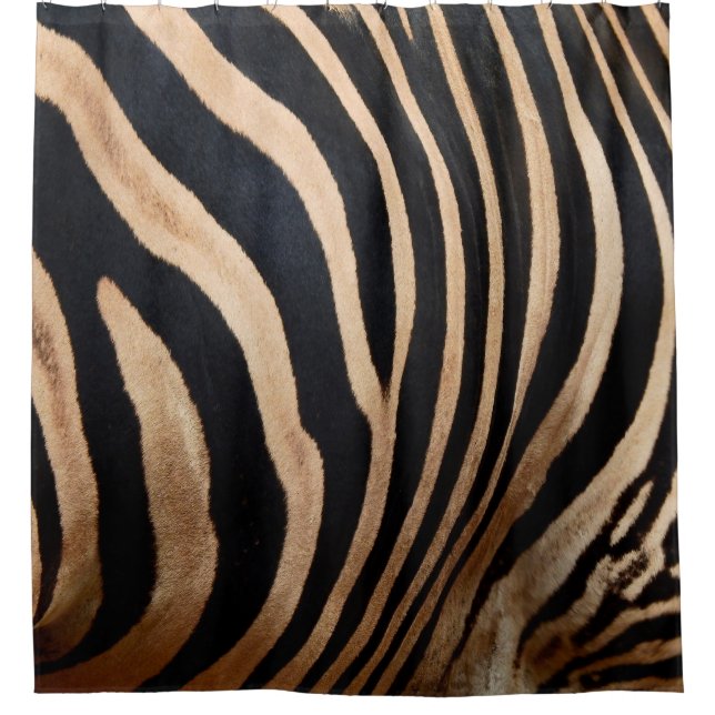 hair skin of zebraskin,animal,background,black,bod shower curtain (Front)