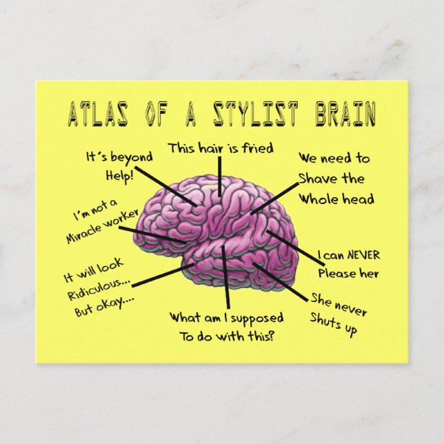 Hair Stylist Gifts "Atlas of a Stylist Brain" Postcard (Front)