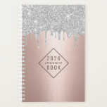 Hair Stylist Silver Drips Rose Gold Appointment Planner<br><div class="desc">Hair Stylist Rose Gold & Silver Glitter Drips Salon Appointment Planner.</div>