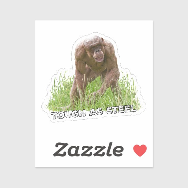 Hairless Chimp Tough As Steel (Sheet)
