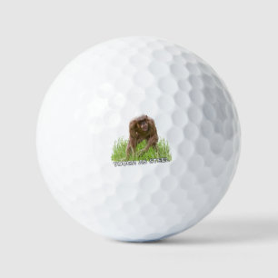 Hairless Chimp Tough As Steel Golf Balls