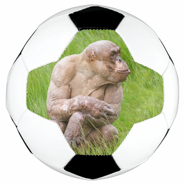 Hairless Chimpanzee Football (Front)