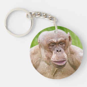 Hairless Chimpanzee Magnet Keychain