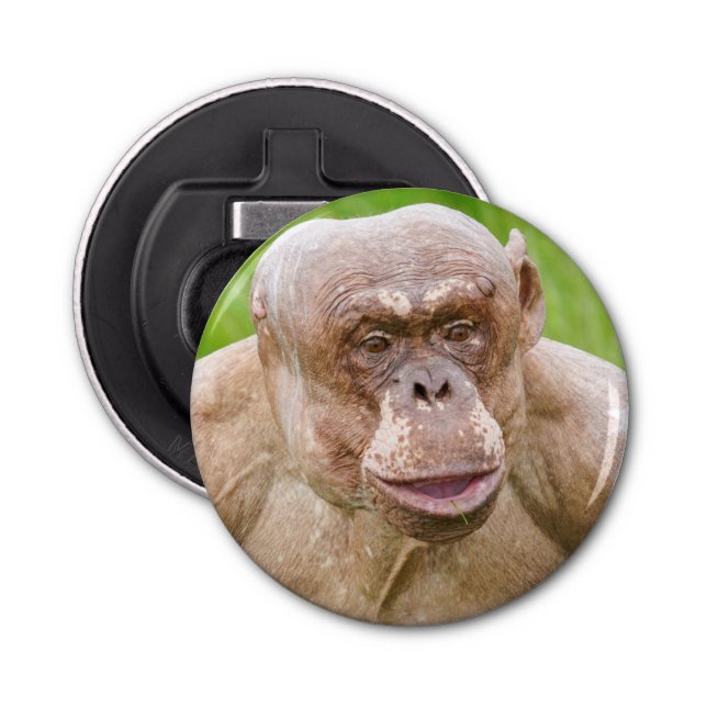 Hairless Chimpanzee Magnet Keychain Bottle Opener (Front)