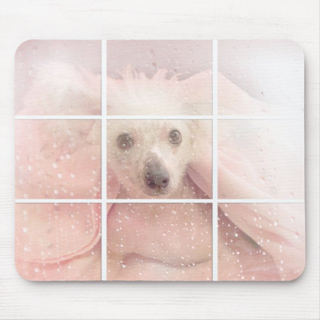 Hairless Dog in window Mouse Mat (Front)
