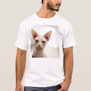 hairless kitty T-Shirt