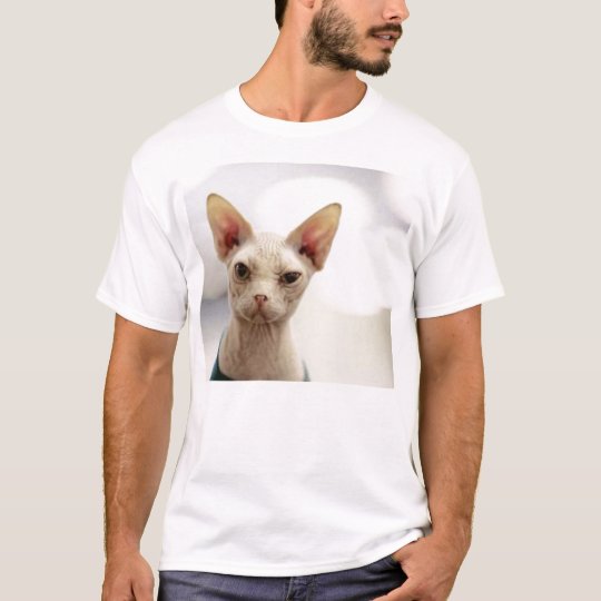 hairless kitty T-Shirt