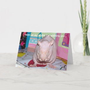 Hairless Pet Rat Birthday Card