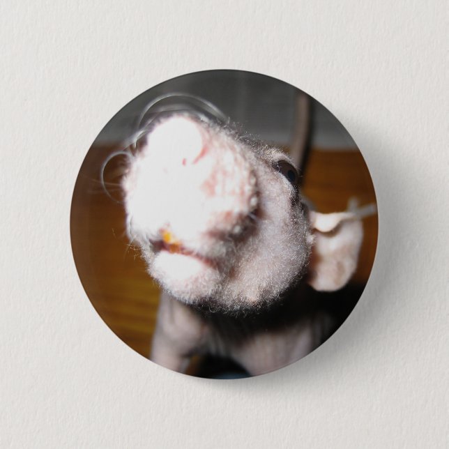 Hairless Rat Love 6 Cm Round Badge (Front)