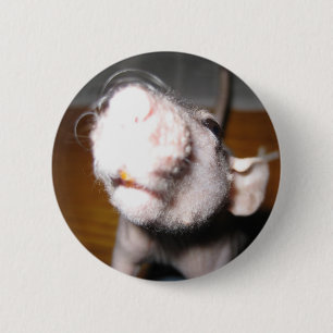 Hairless Rat Love 6 Cm Round Badge