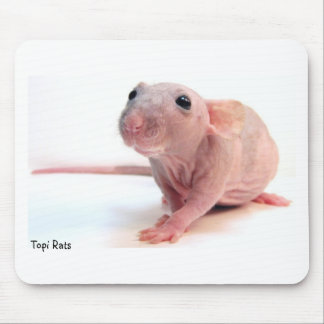 Hairless Rat Mouse Mat
