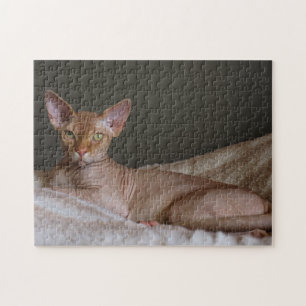 Hairless Sphinx Cat Jigsaw Puzzle
