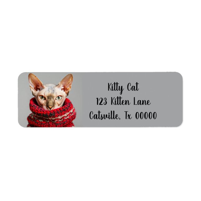 Hairless Sphynx Cat in a Sweater Return Address (Front)