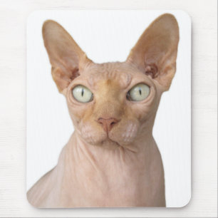 Hairless Sphynx  Cat Mouse Mat