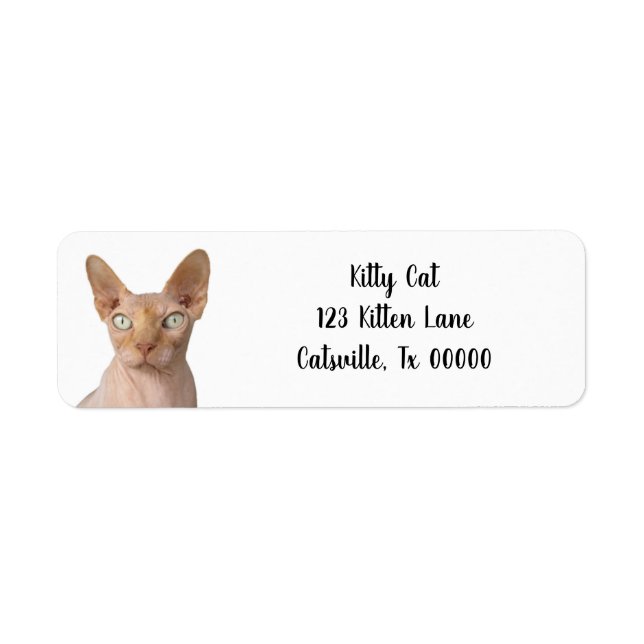 Hairless Sphynx Cat Return Address Label (Front)