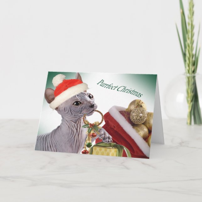 Hairless Sphynx Christmas cards (Front)