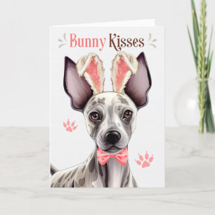 Hairless Terrier Dog in Bunny Ears for Easter Holiday Card
