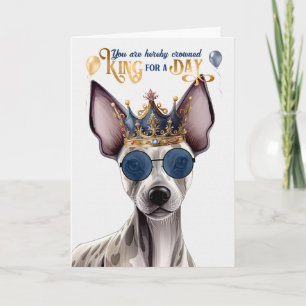 Hairless Terrier Dog King for a Day Funny Birthday Card