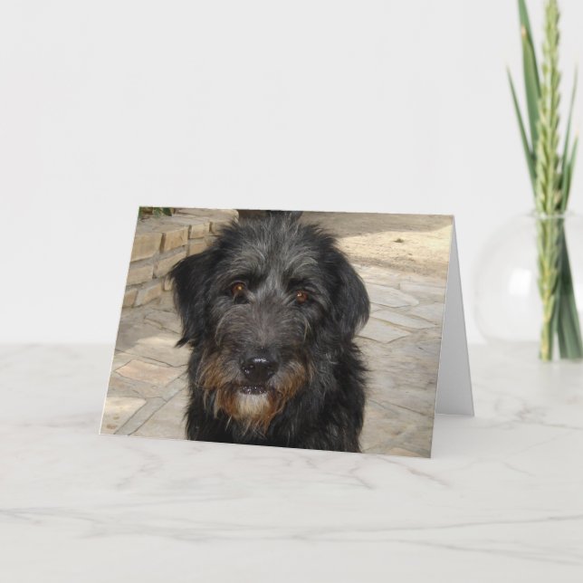Hairy Black Dog Face Card (Front)