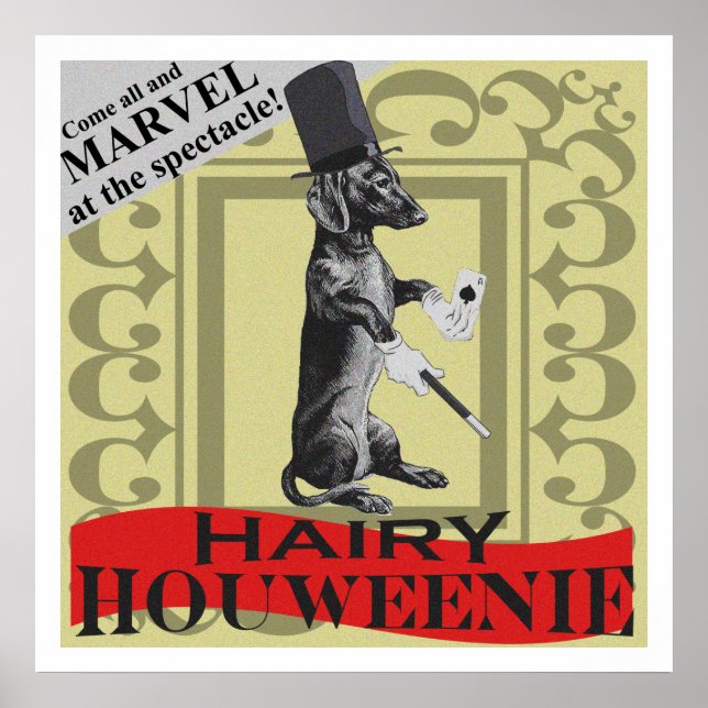 Hairy Houweenie ! Wiener Dog  "Carnival" Poster (Front)
