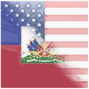 Haiti America Flag Painted   Half Haitian American