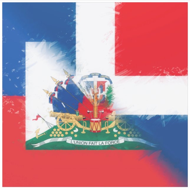 Haiti Dominican Republic Flag | Hispaniola DR Half (Front)