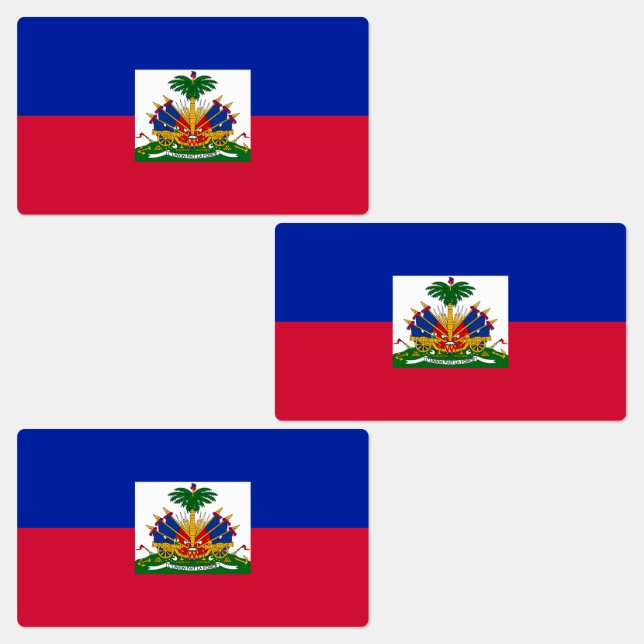 Haiti Flag (Group)